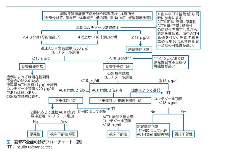 コートロシン 負荷 試験 コレクション と は