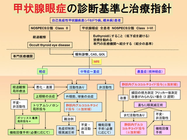 バセドウ病眼症（甲状腺眼症）の治療[橋本病 甲状腺超音波エコー検査 長崎甲状腺クリニック(大阪)]