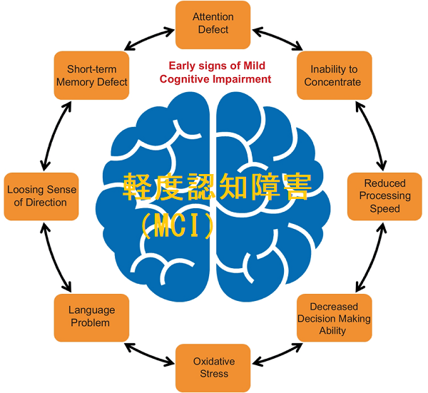 軽度認知障害(MCI) 軽度認知障害(MCI)